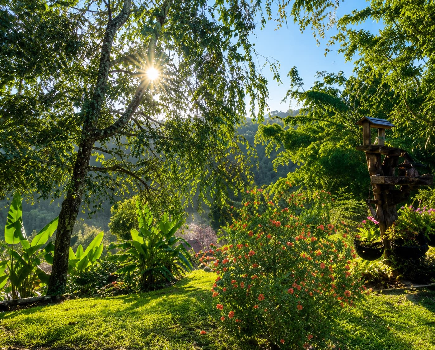 Jardines soleados del condominio con el sol entre los árboles y vista a las montañas