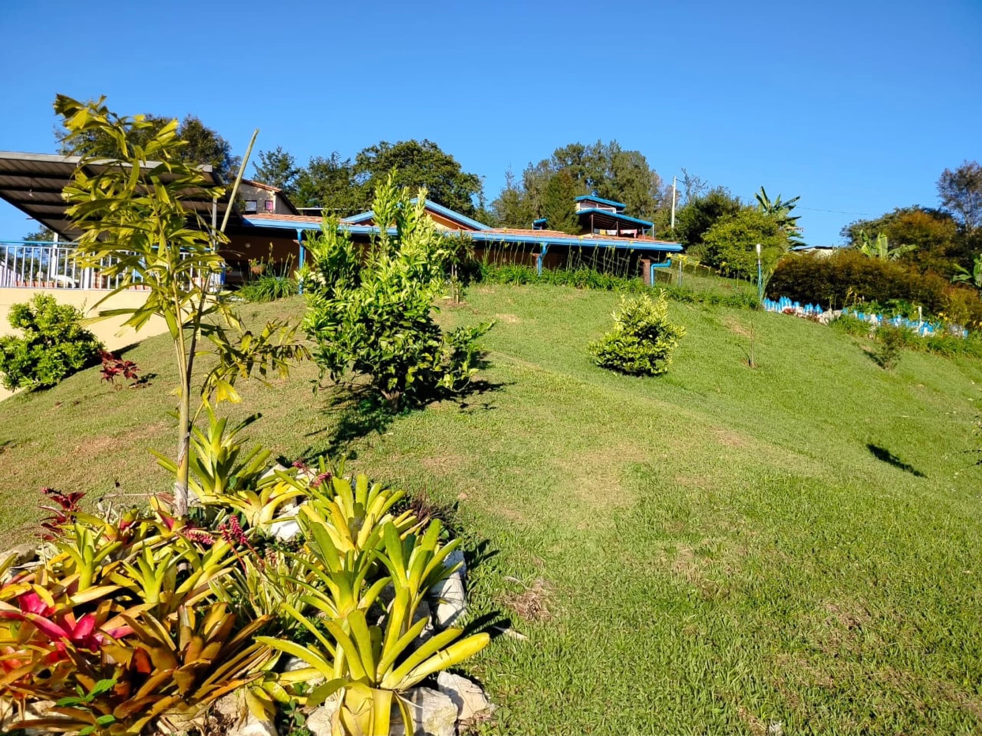 Zonas verdes del condominio