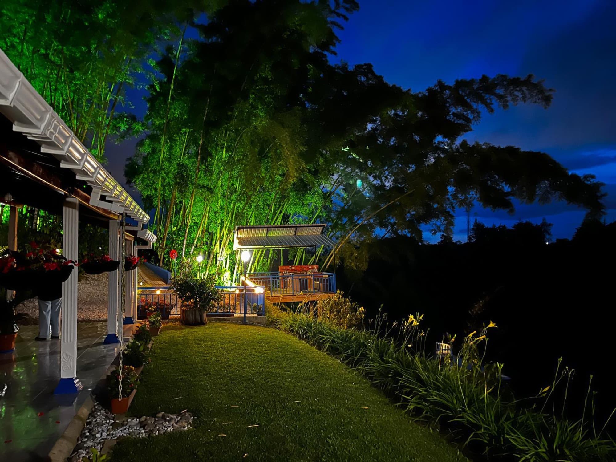 Jardín iluminado de la Cabaña Guacharaca al anochecer, entre guaduas
