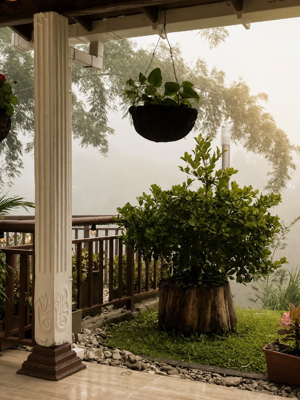 Terraza entre la niebla del amanecer
